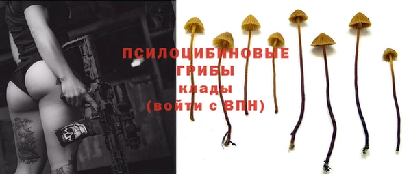 марки lsd Аркадак