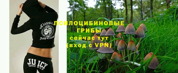 герыч Алзамай