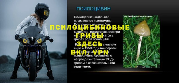 герыч Алзамай