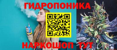 тгк Кимры