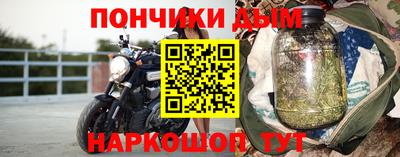 кокс Кингисепп