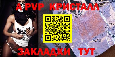 стаф Кинель