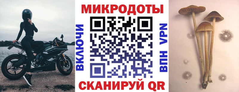 Псилоцибиновые грибы Psilocybe  Сибай 