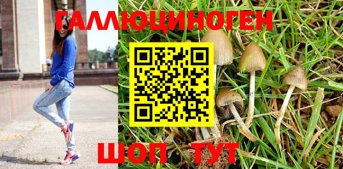 Галлюциногенные грибы Psilocybine cubensis Сибай