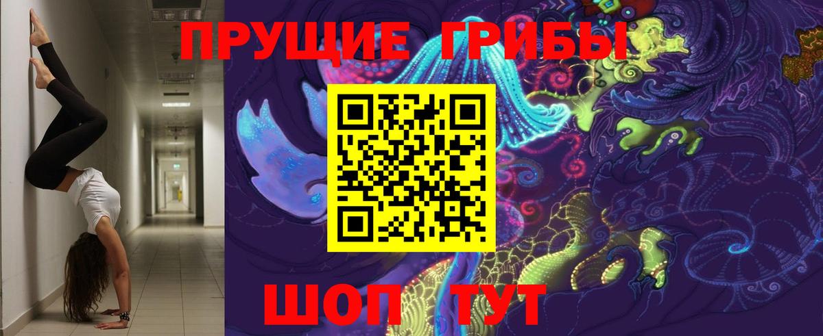 Галлюциногенные грибы Psilocybine cubensis  Вход с VPN  Галлюциногенные грибы Psilocybine cubensis  Сибай 